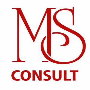logo msconsult
