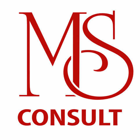 logo msconsult